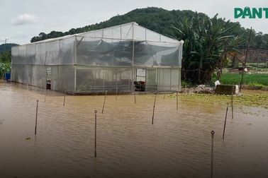Cơn lũ tràn về giữa đêm nhấn chìm khu dân cư, hoa màu ở Lâm Đồng