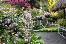 Tôi yêu vợ của bạn thân