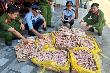 Gần 500kg chân gà, đuôi lợn "bẩn" trong kho công ty thực phẩm sạch
