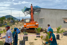 Chuyển công an điều tra vụ cấp sổ đỏ trên đất bị cưỡng chế