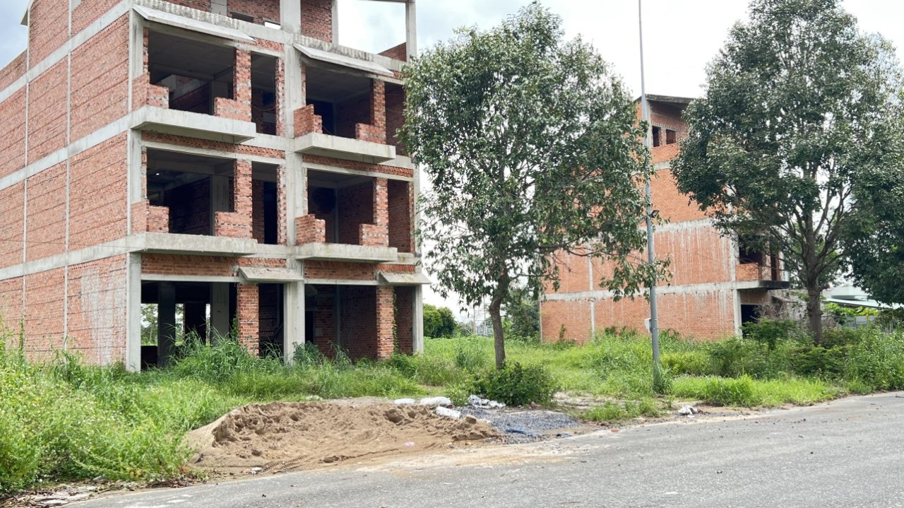 Bài 2: Sau 20 năm, thành phố ma ở Nhơn Trạch vẫn là nơi để… thả trâu - 3 Bài 2: Sau 20 năm, thành phố ma ở Nhơn Trạch vẫn là nơi để… thả trâu - 3