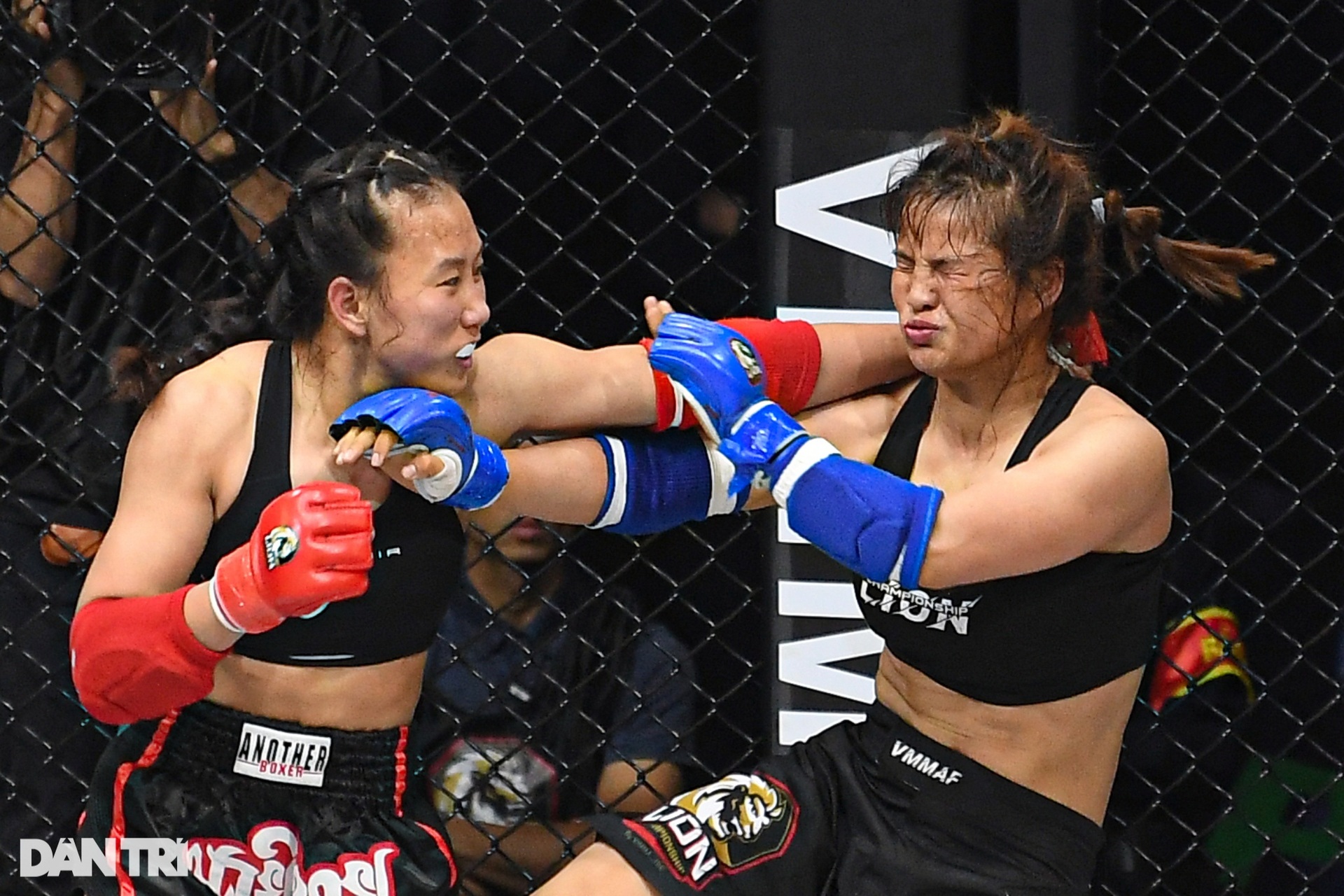 Bóng hồng Hungary hạ knock-out võ sĩ Việt Nam trong ngày khai màn MMA 2023 - 2 Bóng hồng Hungary hạ knock-out võ sĩ Việt Nam trong ngày khai màn MMA 2023 - 2