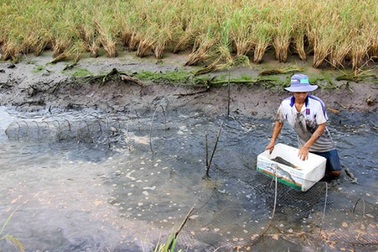 Xả nước “cứu” rừng khiến hàng nghìn ha nông nghiệp bị ảnh hưởng