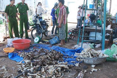 Chế biến thực phẩm thối bán cho nhà hàng, quán nhậu 