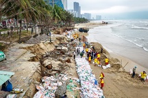 Hơn 200 người "vá" bãi biển đẹp nhất hành tinh ở Đà Nẵng
