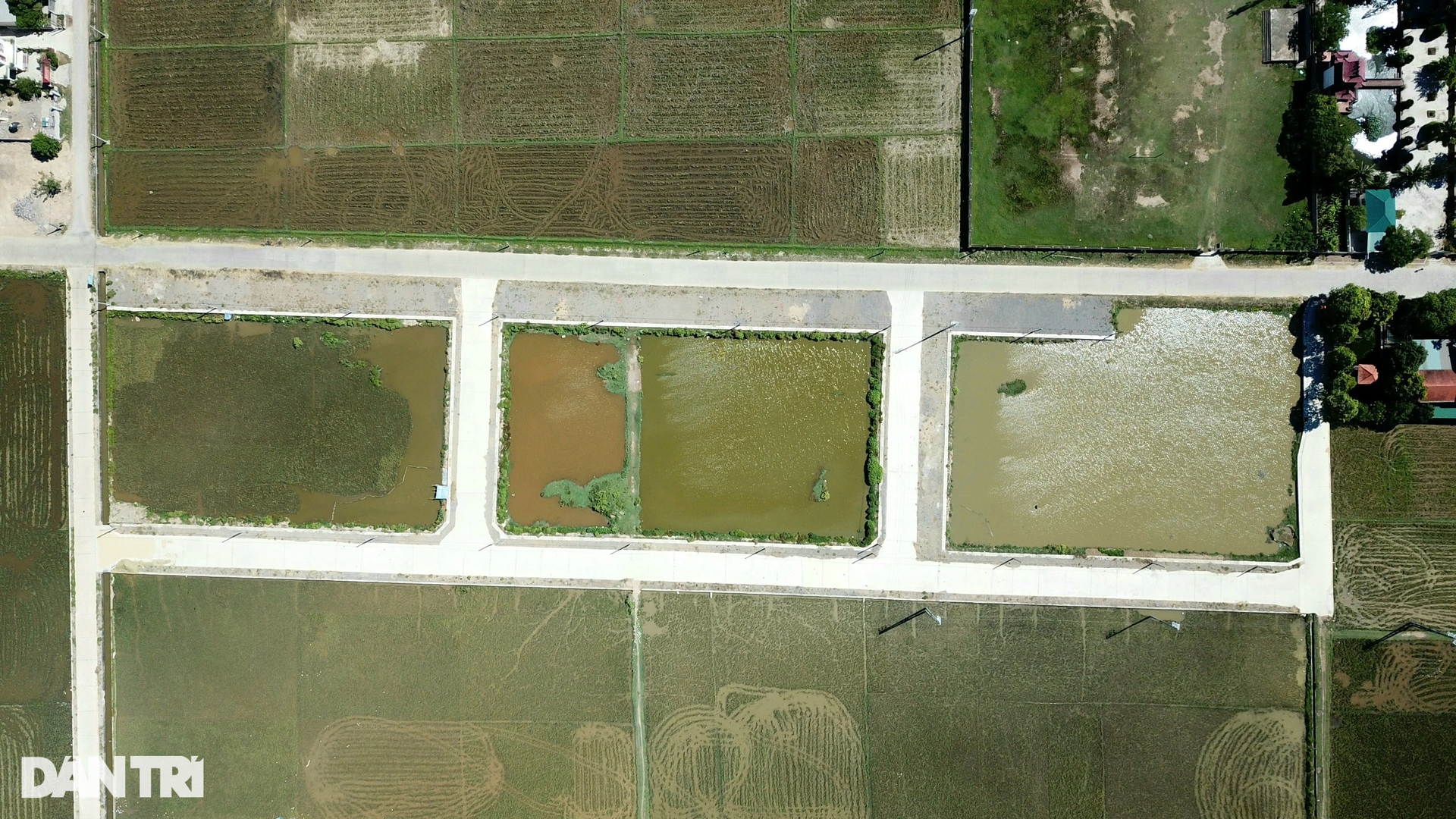 Cận cảnh khu vực em trai phó chủ tịch huyện trúng đấu giá 23 lô đất - 5