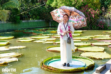 Ngôi chùa kỳ lạ ở miền Tây, người nặng 100kg có thể đứng trên lá sen