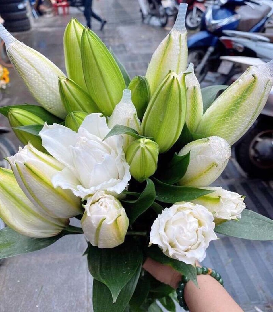 Loại hoa ly siêu đắt đỏ, chị em Hà thành ráo riết lùng mua - 4 Loại hoa ly siêu đắt đỏ, chị em Hà thành ráo riết lùng mua - 4