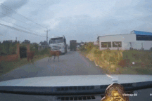 Nổi bật tuần qua: Bò thả rông chạy văng lên đầu ô tô, ai chịu trách nhiệm?