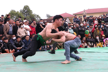 Đầu Xuân xem "dân cày" tranh tài đấu vật