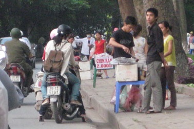 Chim quay “náo nhiệt” trên phố Hoàng Hoa Thám