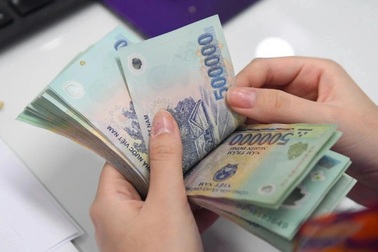 Tăng lương hưu, "bán" sổ bảo hiểm lấy hưu non tạo "sóng" tranh luận