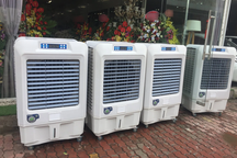 Quạt điều hòa có thể thay thế máy lạnh?