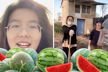 Trung Quốc: Từ bỏ tấm bằng thạc sĩ, cô gái trở về quê trồng dưa