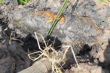 Cưa đầu đạn làm nhẫn đeo, 2 người thương vong