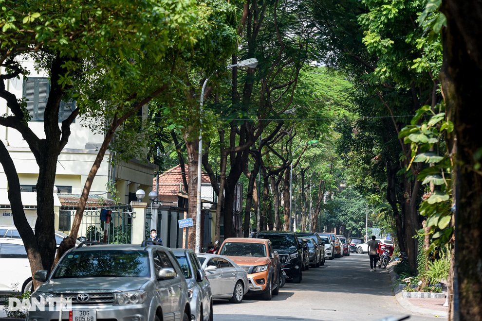 Hình ảnh hai tuyến phố được đề xuất mang tên Xuân Quỳnh - Lưu Quang Vũ - 4 Hình ảnh hai tuyến phố được đề xuất mang tên Xuân Quỳnh - Lưu Quang Vũ - 4