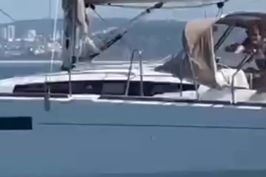 Cá voi sát thủ lao vào tấn công, một du thuyền bị đánh chìm xuống biển