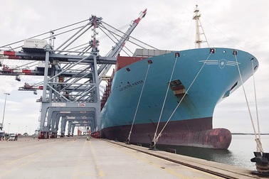 "Siêu tàu" container lớn nhất từ trước tới nay cập cảng biển Việt Nam