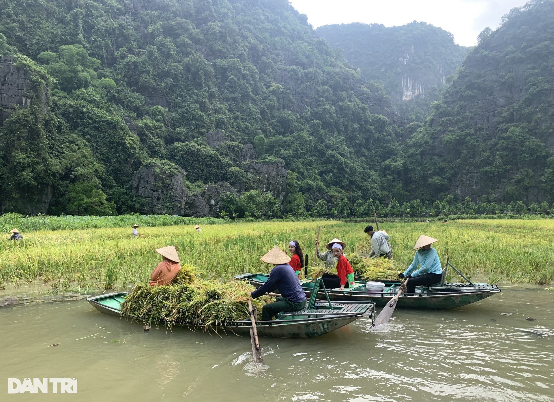 Khu du lịch Tam Cốc đang đóng cửa có gì đặc biệt? - 8 Khu du lịch Tam Cốc đang đóng cửa có gì đặc biệt? - 8
