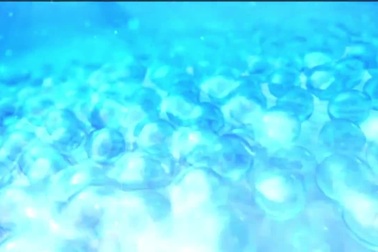 Cơ chế tác động của tinh chất Broccophane thiên nhiên trong bảo vệ thủy tinh thể và võng mạc