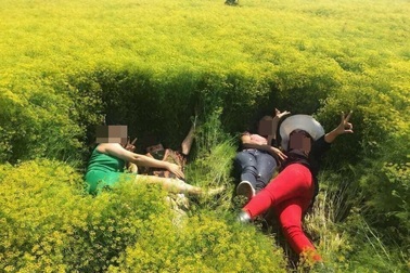 Bị giẫm đạp tả tơi, vườn hoa gây “sốt” ở Ninh Thuận đóng cửa chỉ sau 4 ngày