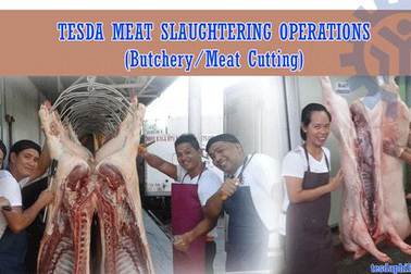 Học thợ lên ngôi