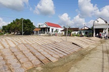 Độc đáo đặc sản "bánh tráng trăm năm" ở Bình Định