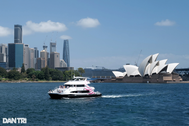 Trải nghiệm đi tàu 5 sao lênh đênh trên biển ngắm thành phố Sydney xinh đẹp