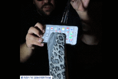 Clip “bật mí bí mật của những màn ảo thuật” nổi bật nhất Internet tuần qua