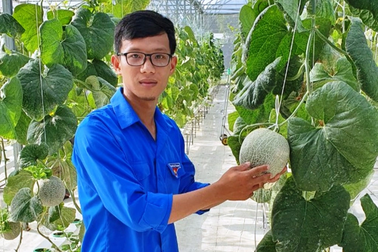 Diễn đàn Mekong Startup lần thứ I tập trung bài toán chuyển đổi nông nghiệp