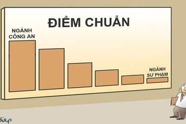 Những “con chuột chạy cùng sào” và sự lựa chọn “ngoài ra” !