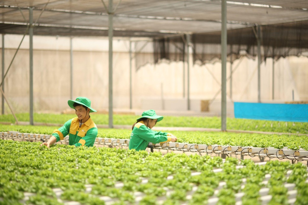 10 Jahre, in denen wir Millionen köstlicher Mahlzeiten von WinEco mit gutem Geschmack verfeinert haben - 3 10 năm trao vị lành cho triệu bữa ăn ngon của WinEco - 3