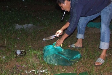 Thả nhiều động vật hoang dã về khu bảo tồn