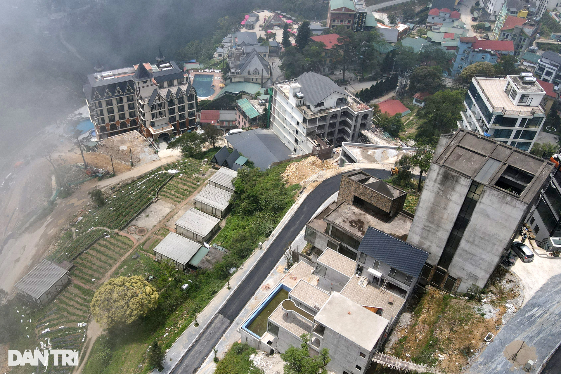 Cận cảnh rừng bê tông ở khu du lịch Tam Đảo - 8 Cận cảnh rừng bê tông ở khu du lịch Tam Đảo - 8