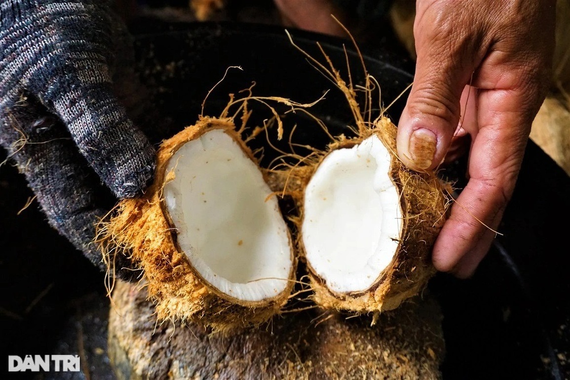 Nghề chặt đau tay kiếm vài trăm nghìn đồng mỗi ngày giáp Tết - 3 Nghề chặt đau tay kiếm vài trăm nghìn đồng mỗi ngày giáp Tết - 3