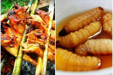 Hấp dẫn những món ngon từ dừa Bến Tre