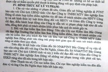 Bắc Giang: Hàng loạt sai phạm vụ công ty lâm nghiệp mở đường xuyên rừng để...phá rừng