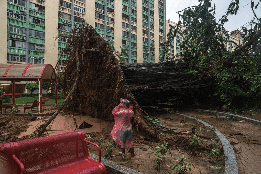 Lý do Hong Kong không thiệt hại nặng trước sức gió 195km/h của bão Ragasa - 1 Lý do Hong Kong không thiệt hại nặng trước sức gió 195km/h của bão Ragasa - 1