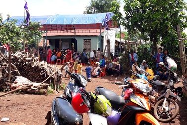 Cây đổ đè chết 1 người, 4 người trọng thương