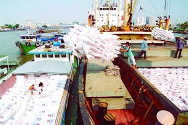 Năm 2030: Gạo Việt Nam sẽ trở thành thương hiệu hàng đầu thế giới 