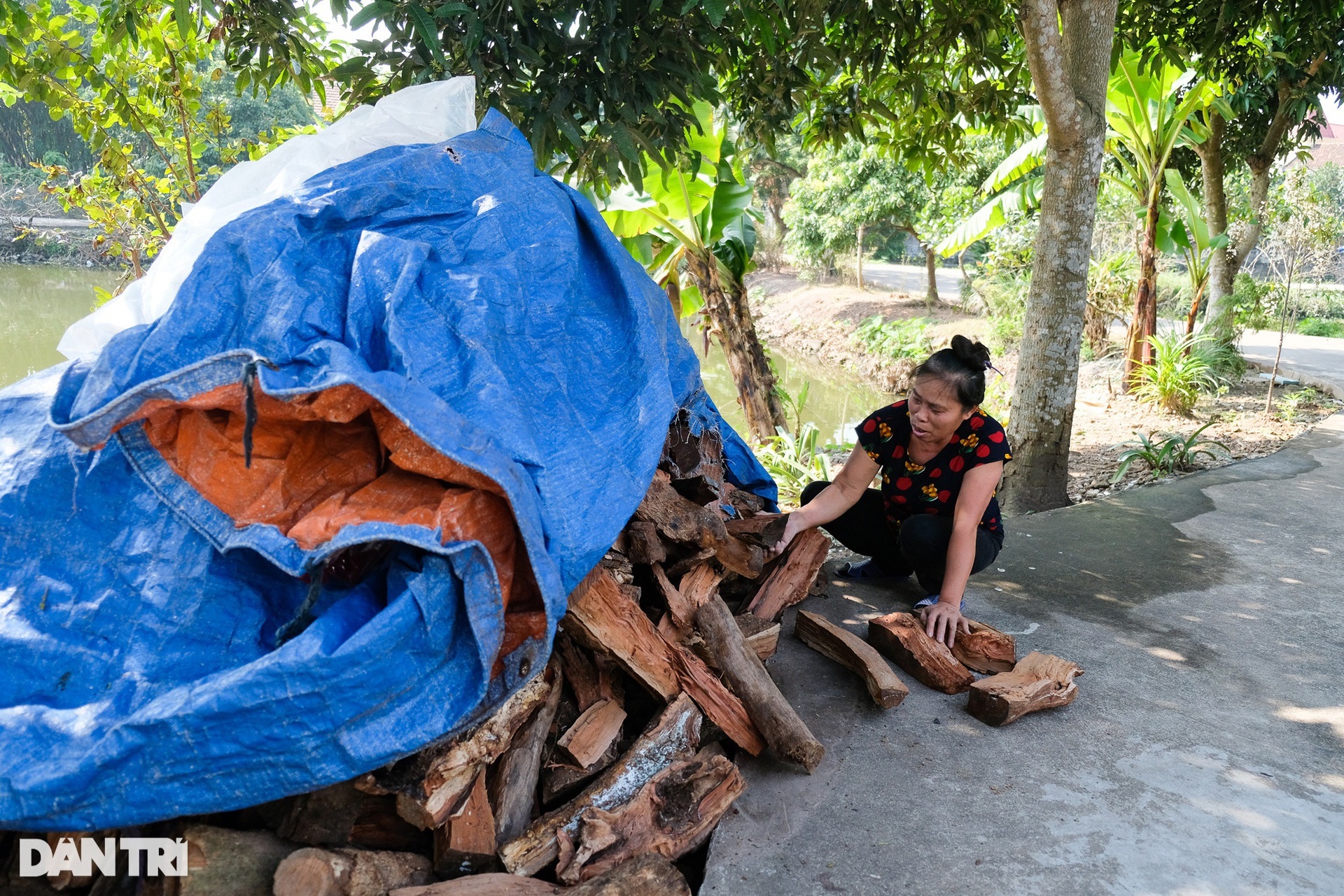 Dân làng Vũ Đại cay xè mắt kho hàng nghìn niêu cá phục vụ khách mua dịp Tết - 4