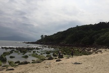 Chủ tịch Đà Nẵng "chốt" vụ dự án bít lối xuống biển