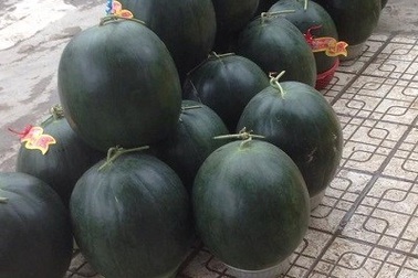 Hà Nội: Dưa hấu 15kg "đổ bộ" xuống phố ngày cận Tết