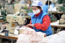 Hơn 36 tấn khẩu trang y tế đã được xuất đi ở sân bay Tân Sơn Nhất