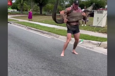 Đô vật MMA dùng tay không bắt cá sấu