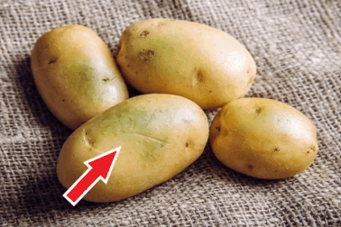Khoai tây có màu này cần bỏ ngay vì có độc