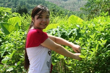 Cô thủ khoa nghèo miền sơn cước