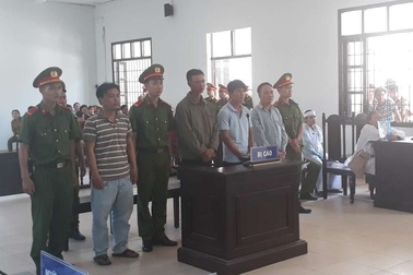 Giết người chỉ vì bò ăn cây chuối