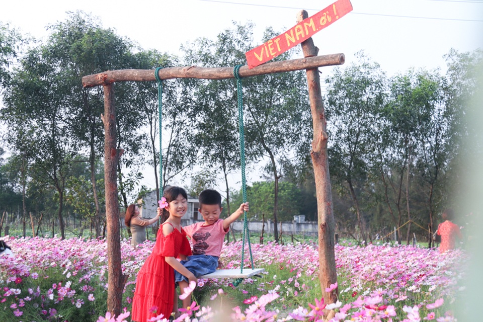 Trồng sao nhái thay dưa, chàng trai thu nhập hàng triệu đồng mỗi ngày - 3 Trồng sao nhái thay dưa, chàng trai thu nhập hàng triệu đồng mỗi ngày - 3