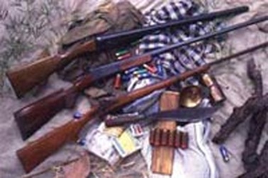 TPHCM: Ngừng cấp phép sử dụng các loại súng săn